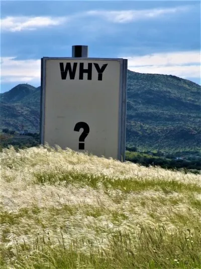 A tall sign reading “Why” above a question mark, on a grassy hill.